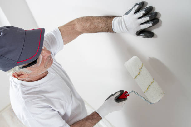 Best HVAC Mold Inspection and Cleaning  in Fraser, MI