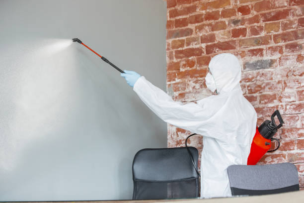 Best Post-Remediation Verification Testing  in Fraser, MI