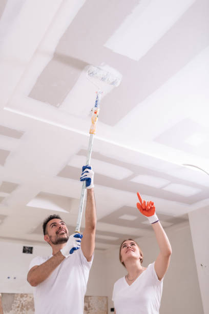 Best Environmental Consulting for Mold Prevention  in Fraser, MI