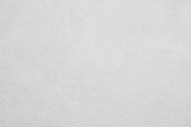 Best Emergency Mold Remediation  in Fraser, MI